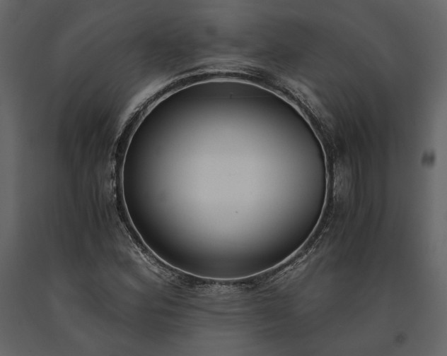 X0000091521164200708241644