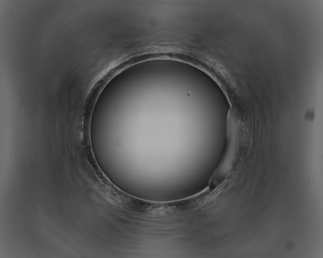 X0000091521165200708241644