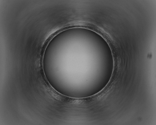 X0000091521166200708241644