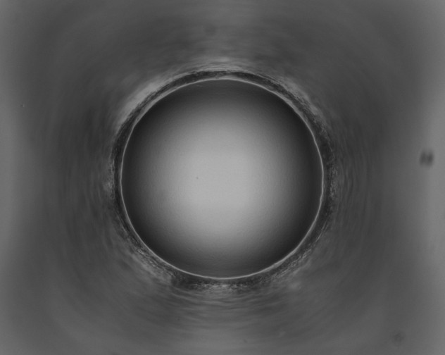 X0000091521167200708241643