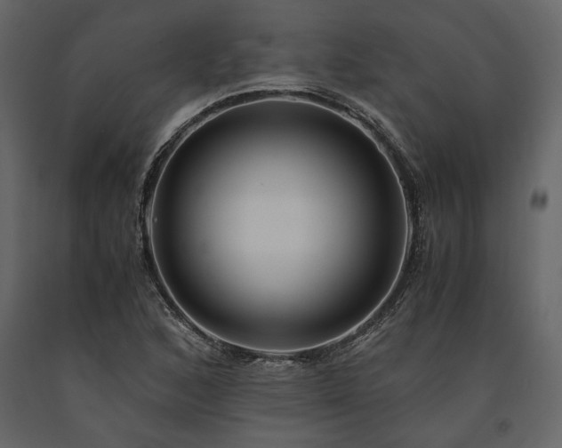X0000091521168200708241643