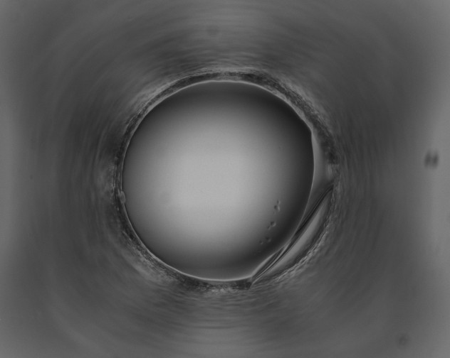 X0000091521169200708241643