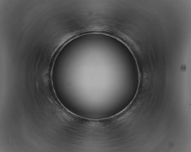 X0000091521170200708241643