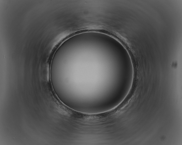 X0000091521171200708241643