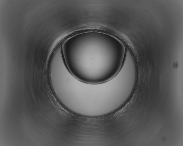 X0000091521172200708241643