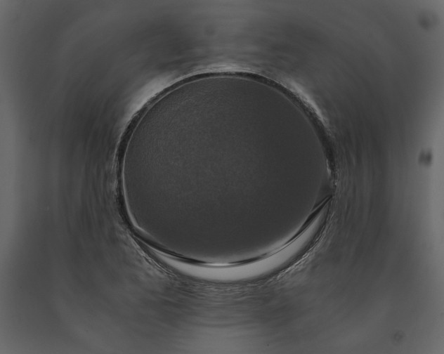 X0000091521173200708241643
