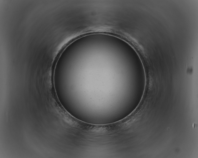 X0000091521174200708241643