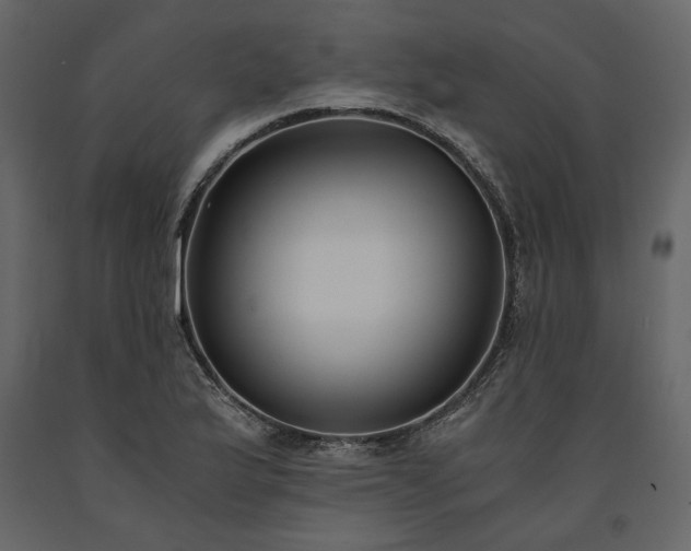 X0000091521175200708241643