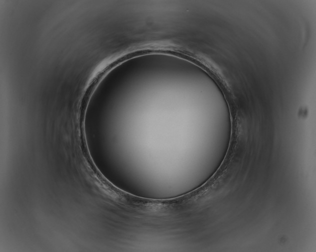 X0000091521176200708241643