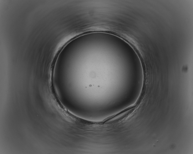 X0000091521179200708241643