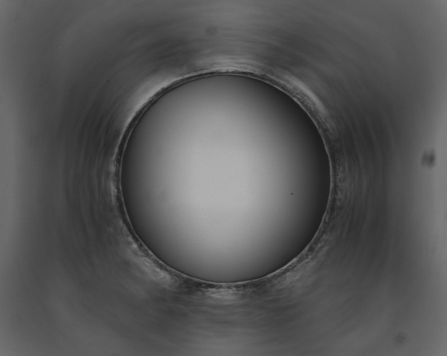X0000091521182200708241643