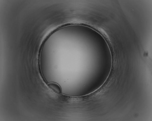 X0000091521183200708241643