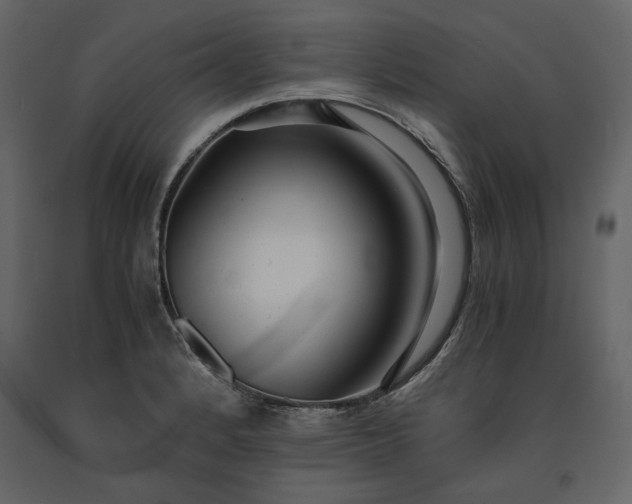 X0000091521184200708241643