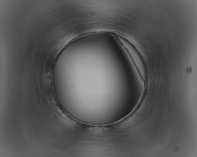 X0000091521185200708241643