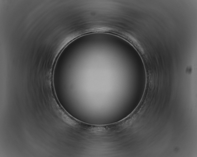 X0000091521186200708241643