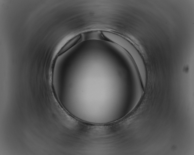 X0000091521188200708241643