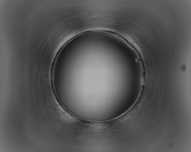 X0000091521189200708241643
