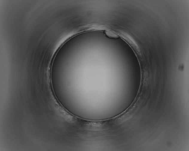 X0000091521190200708241643