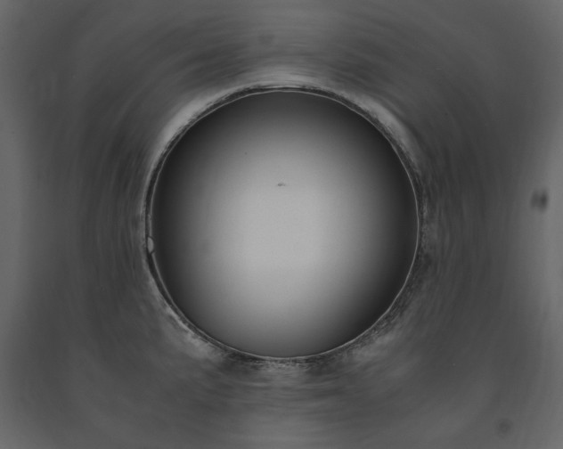 X0000091521191200708241643
