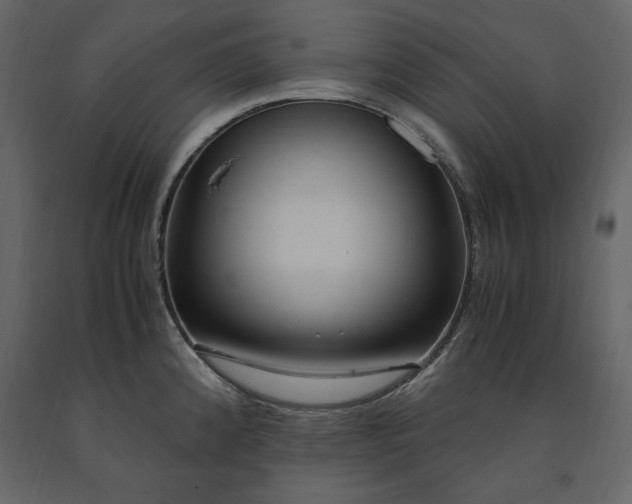 X0000091521192200708241643