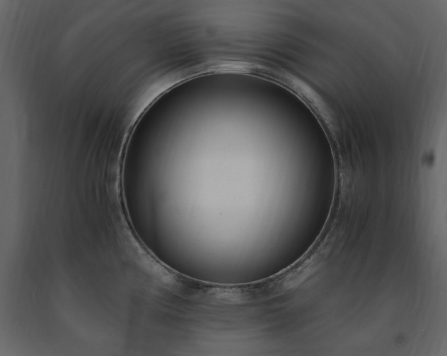 X0000091521194200708241643