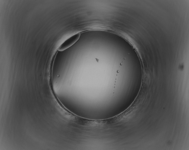 X0000091521195200708241643
