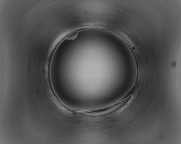 X0000091521196200708241643