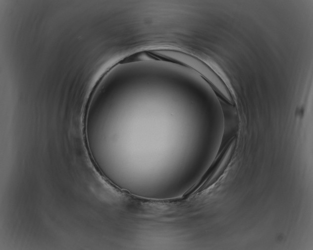 X0000091521197200708241643