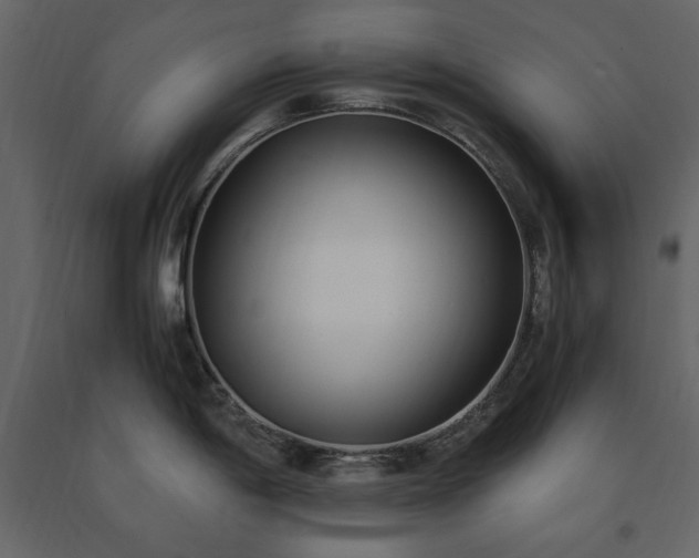 X0000091521198200708241643