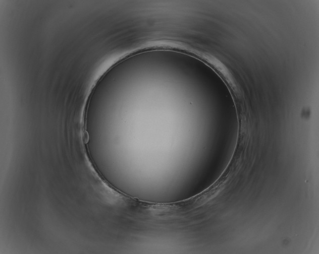 X0000091521199200708241643
