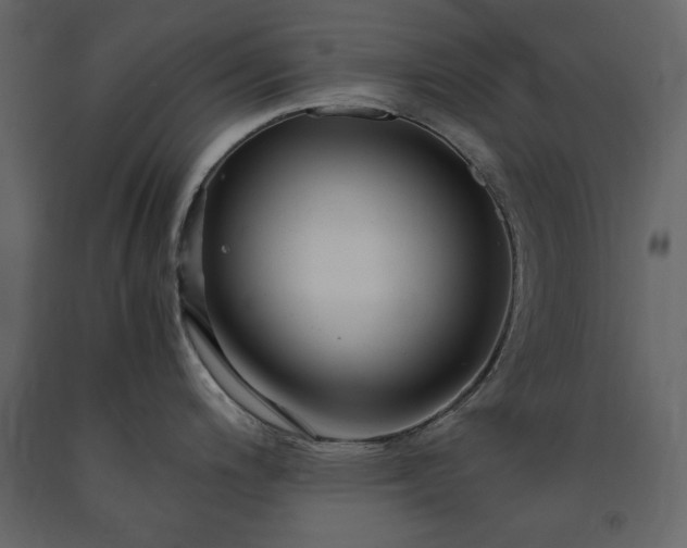 X0000091521200200708241643