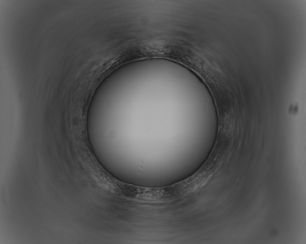 X0000091521201200708241642