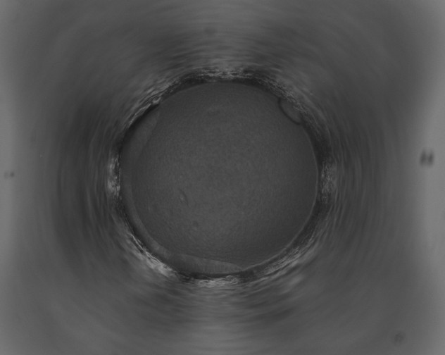 X0000091521202200708241642