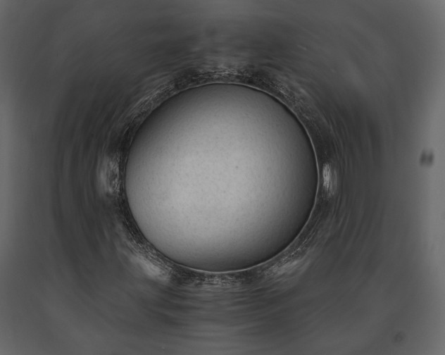 X0000091521203200708241643