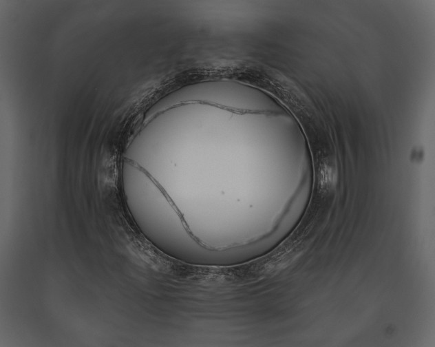 X0000091521204200708241643