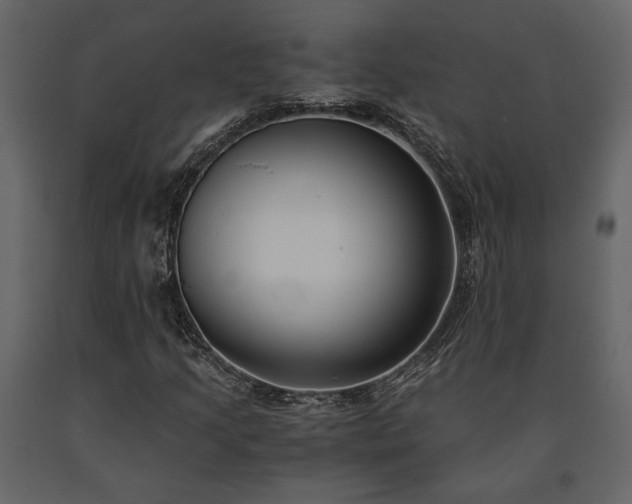 X0000091521205200708241643