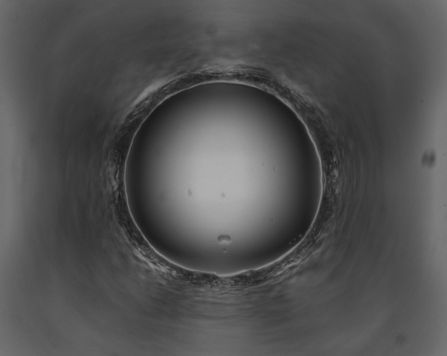X0000091521206200708241643