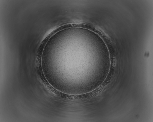 X0000091521208200708241643