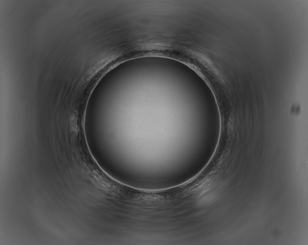 X0000091521209200708241643