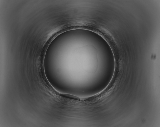 X0000091521210200708241643
