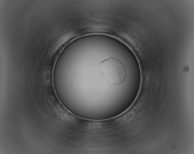 X0000091521211200708241643