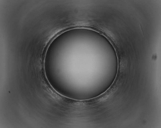 X0000091521212200708241643