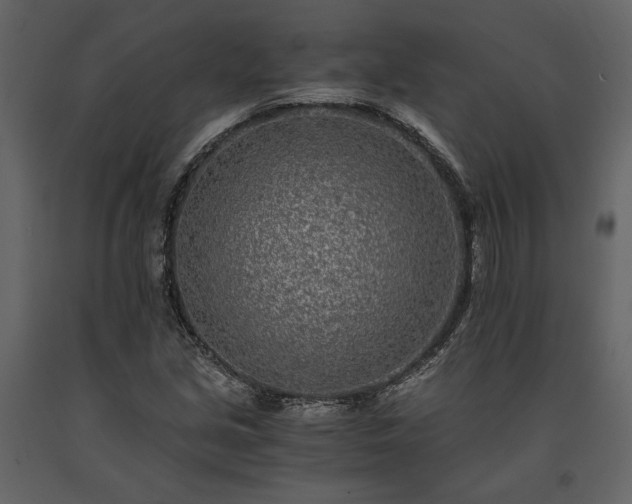 X0000091521213200708241643