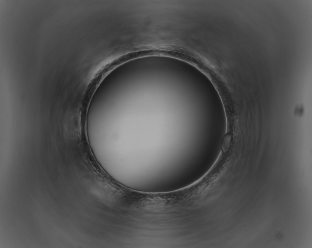 X0000091521214200708241643