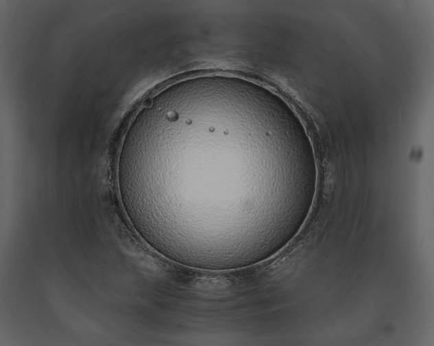 X0000091521215200708241643