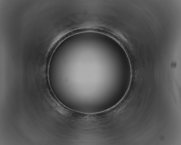 X0000091521216200708241643