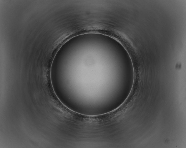 X0000091521217200708241643
