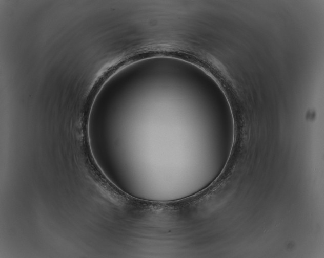 X0000091521218200708241643
