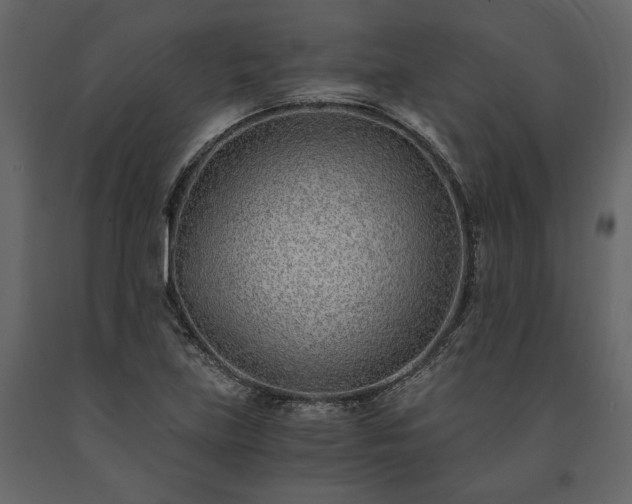 X0000091521219200708241643