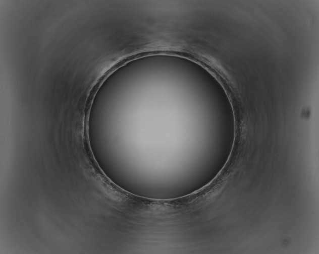 X0000091521220200708241643